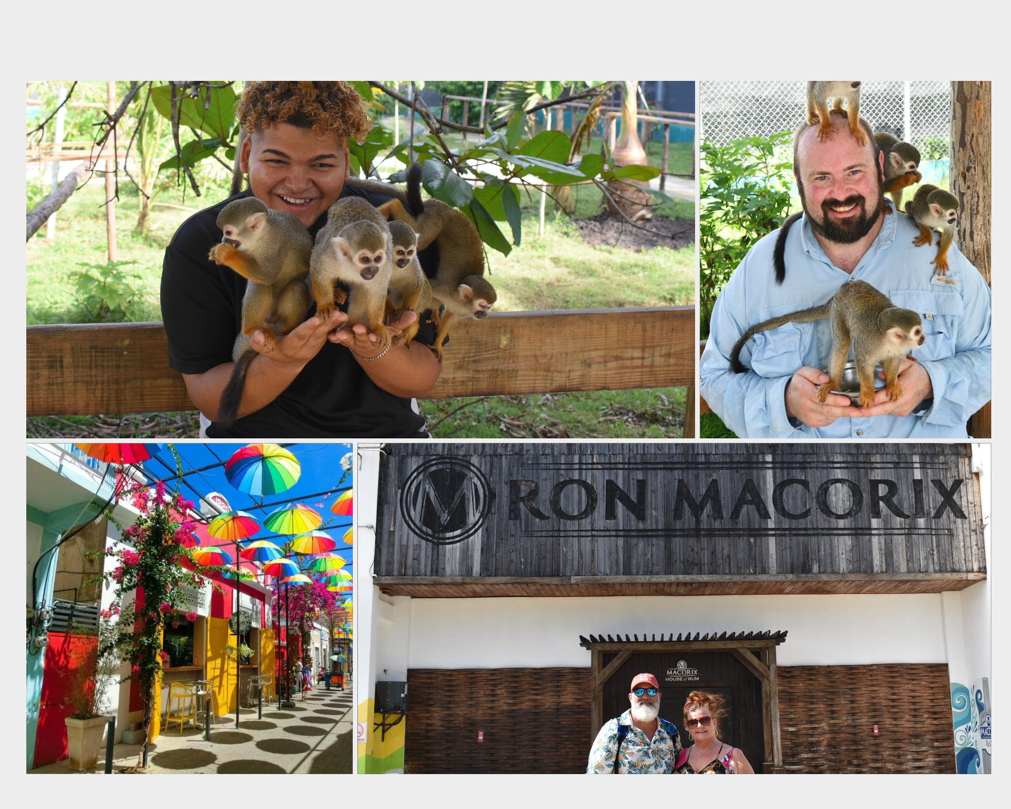 Monkey Tour Interaction and Historic Center (Puerto Plata) – Puerto Plata, Dominican Republic