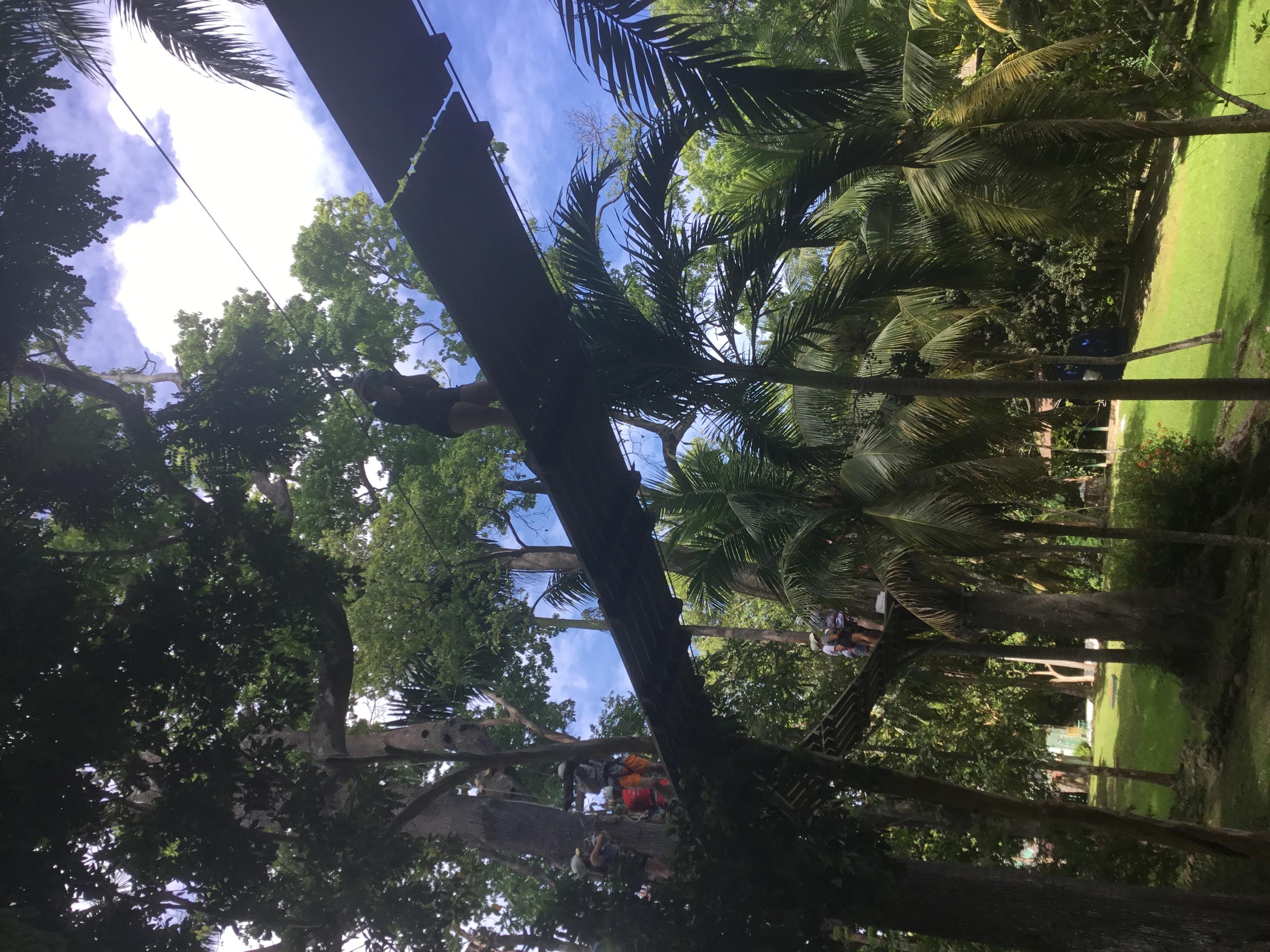 Montego Bay: Blue Hole, Dunn’s River Falls, and Zipline Tour – Dunns River Falls & Park, Jamaica