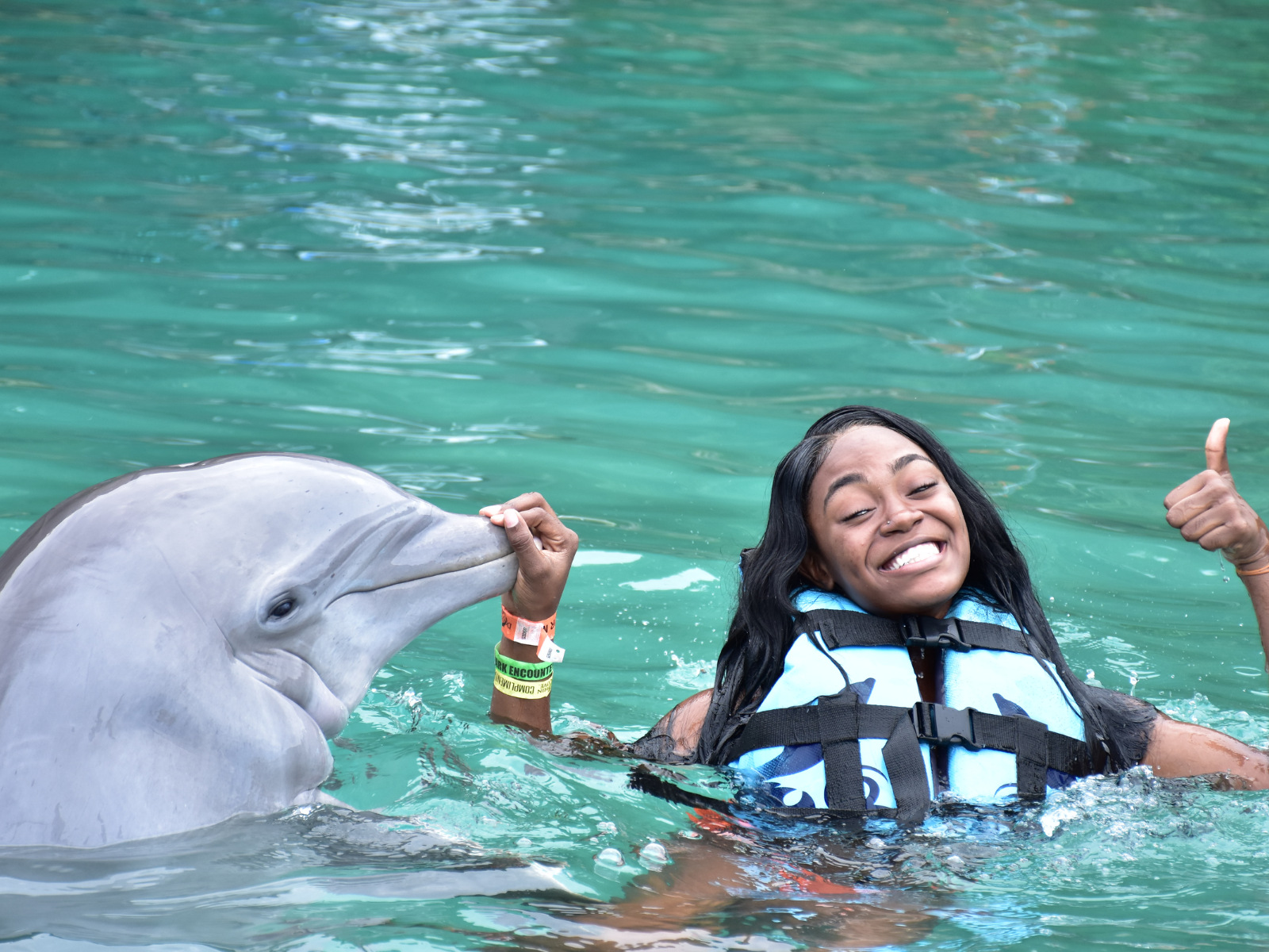 Montego Bay: Dolphin Cove Ocho Rios Day Trip with Transfers – Dolphin Cove Ocho Rios, Jamaica
