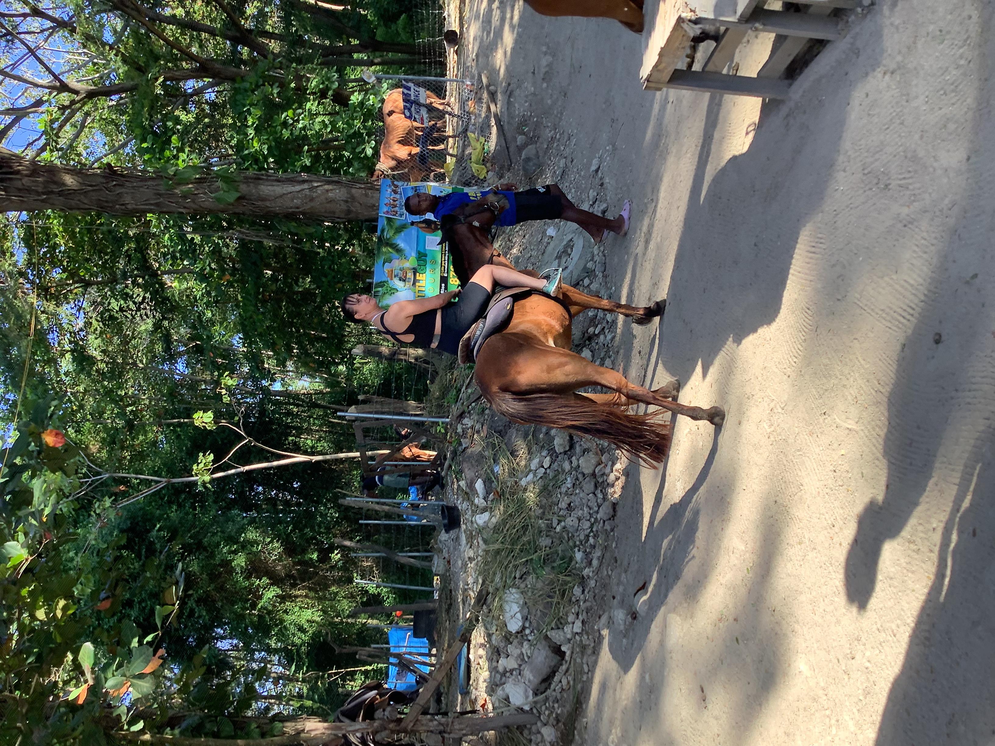 Montego Bay: Horseback Riding and Dunn’s River Falls Tour – Dunns River Falls & Park, Jamaica