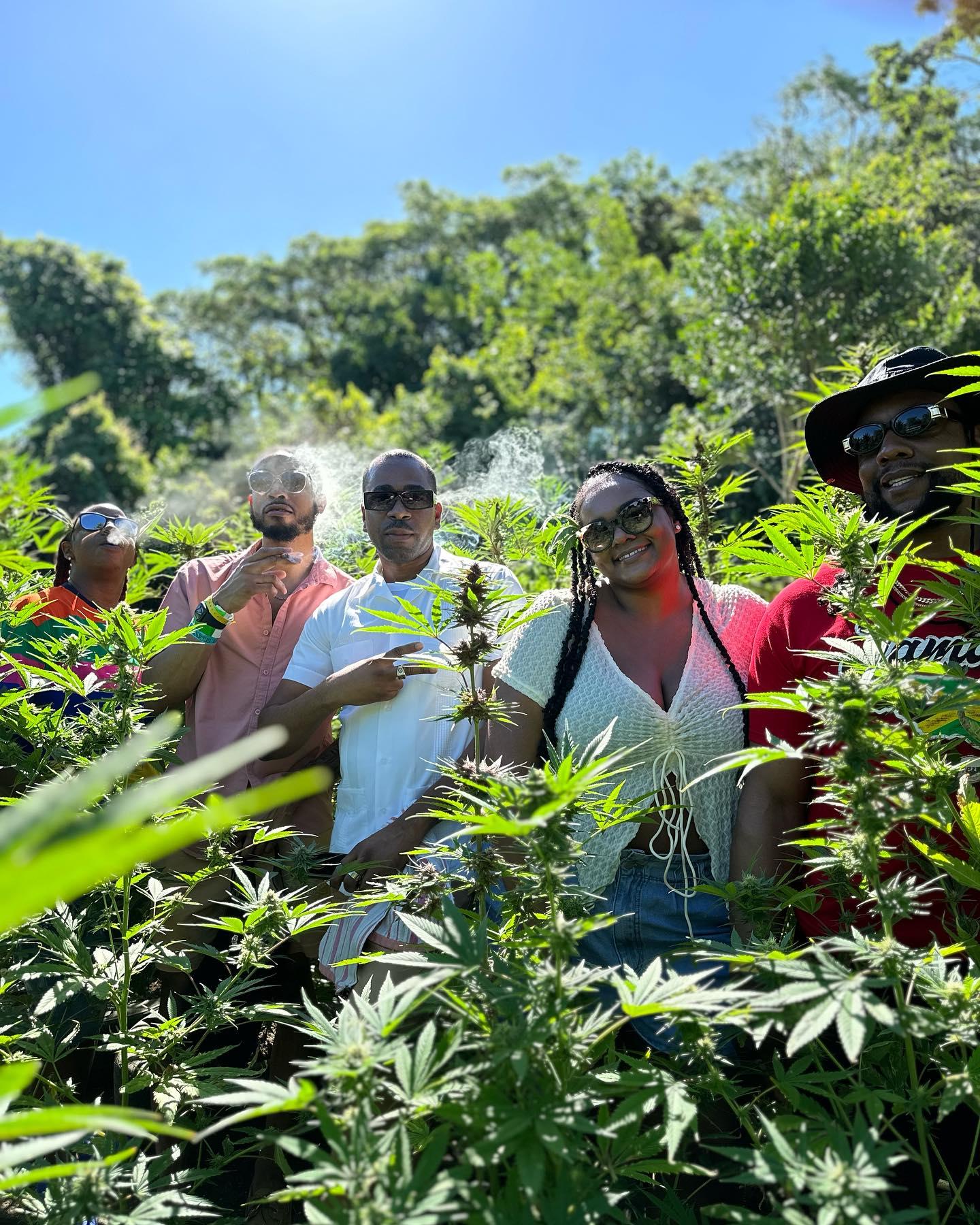 Montego Bay: Marijuana Farm Private Tour with Transportation – Montego Bay, Jamaica