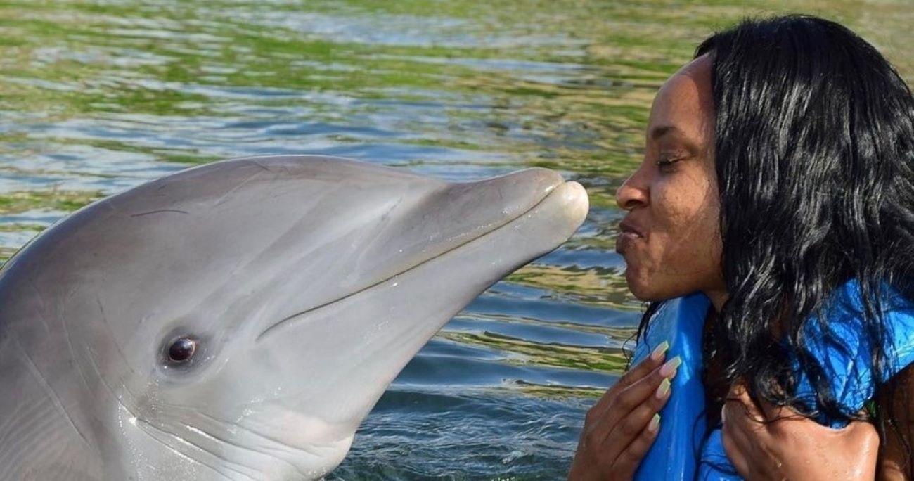 Montego Bay: Swim With The Dolphins Adventure in Lucea – Lucea, Jamaica