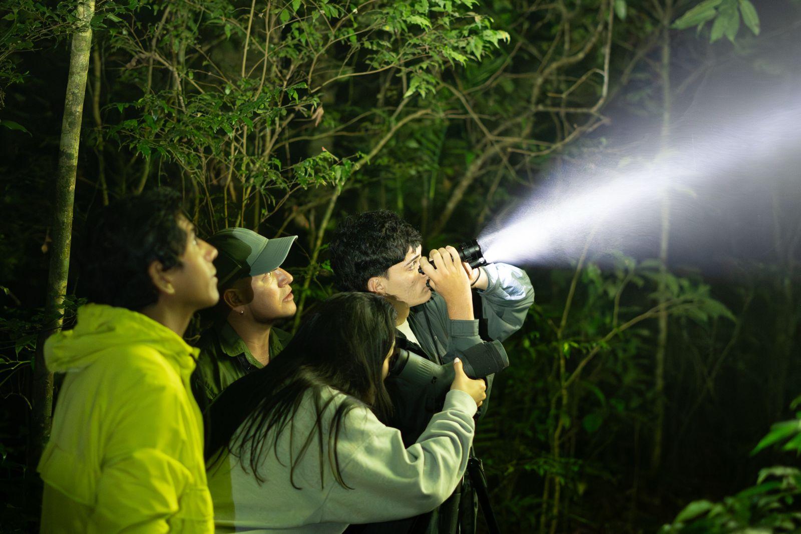 Monteverde Cloud Forest Night Walk – Nocturnal Wildlife – Monteverde, Costa Rica