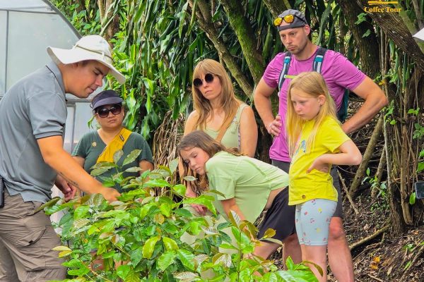 Monteverde: Coffee, Chocolate, and Sugar Cane Tour – Monteverde, Costa Rica