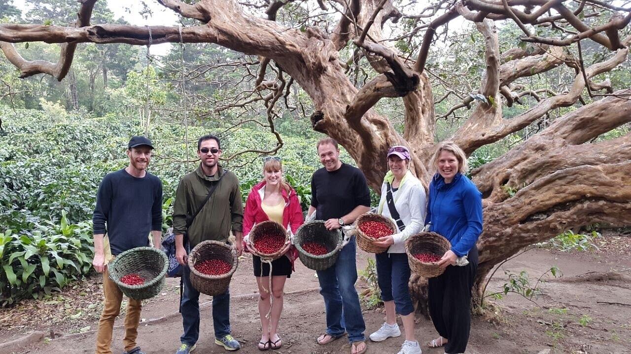 Monteverde: Coffee Farm & Roastery Tour with Tasting – Monteverde, Costa Rica