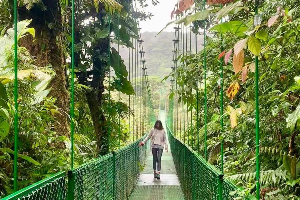 Monteverde Hanging Bridges and Night Walk Tour – Puntarenas, Costa Rica