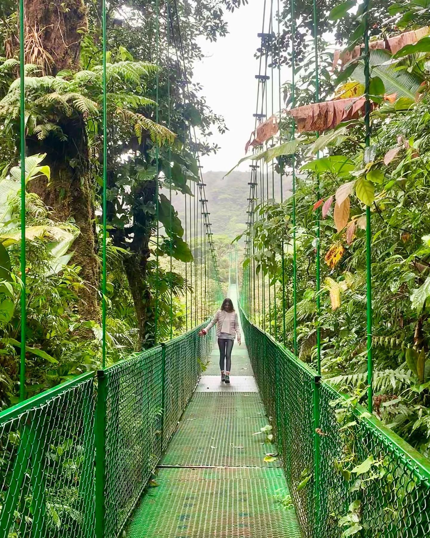 Monteverde Hanging Bridges and Night Walk Tour – Puntarenas, Costa Rica