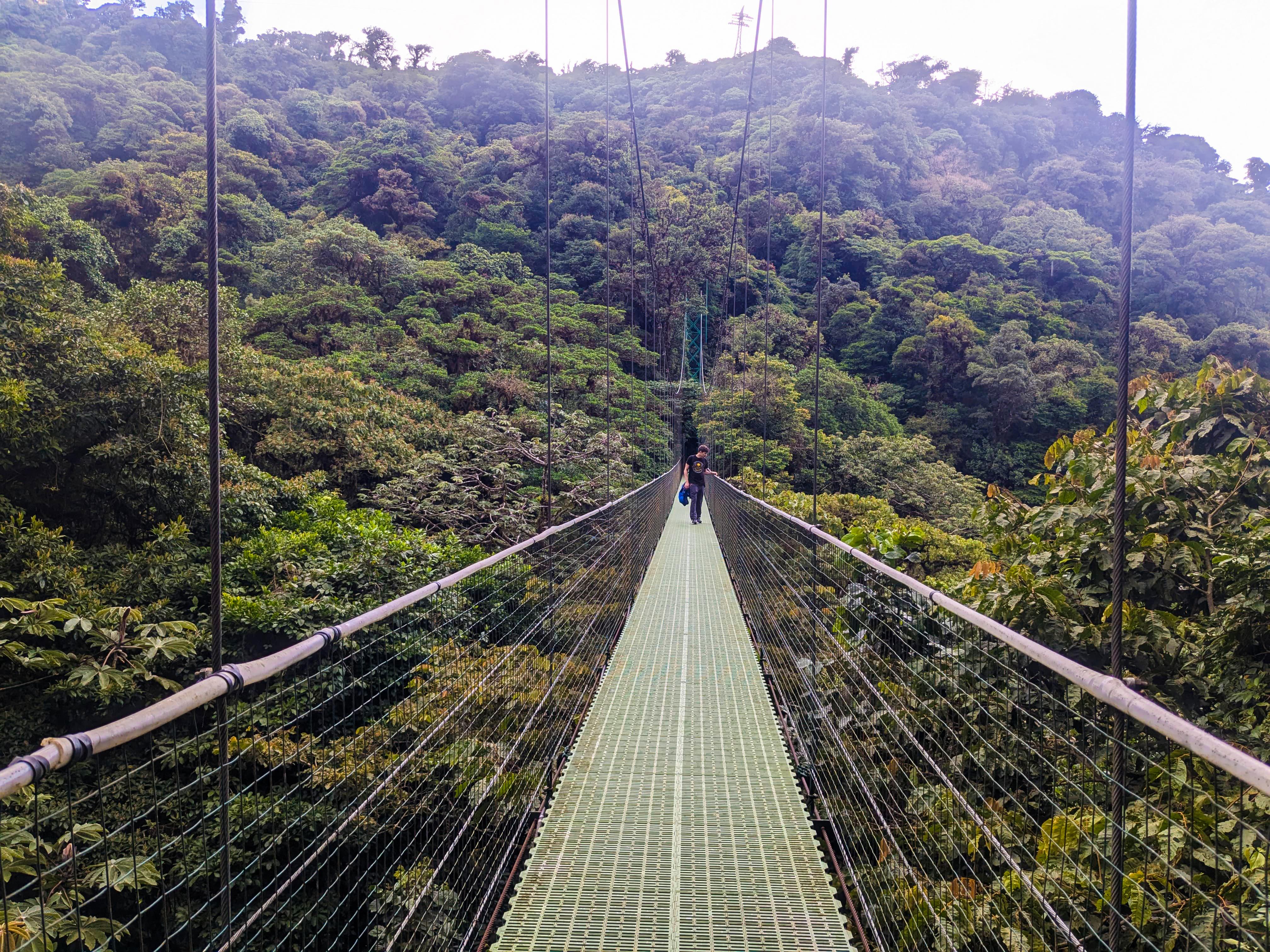 Monteverde: Hanging Bridges in the Cloud Forest Guided Tour – Monteverde, Costa Rica