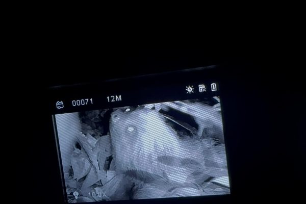 Monteverde: Night Tour with Night Vision Goggles – Puntarenas, Costa Rica