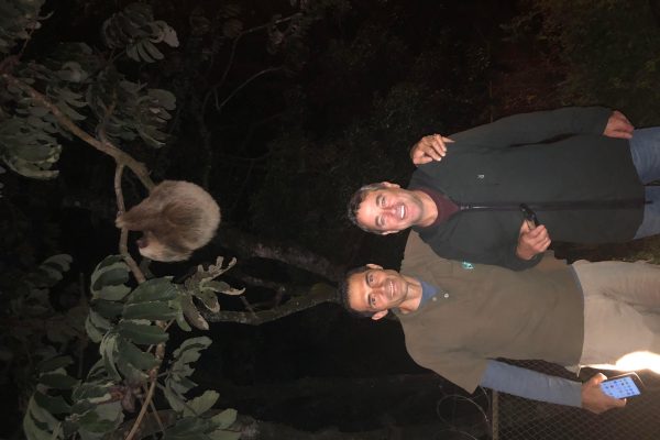 Monteverde: Private Night Tour with Wildlife Encounters – Puntarenas, Costa Rica