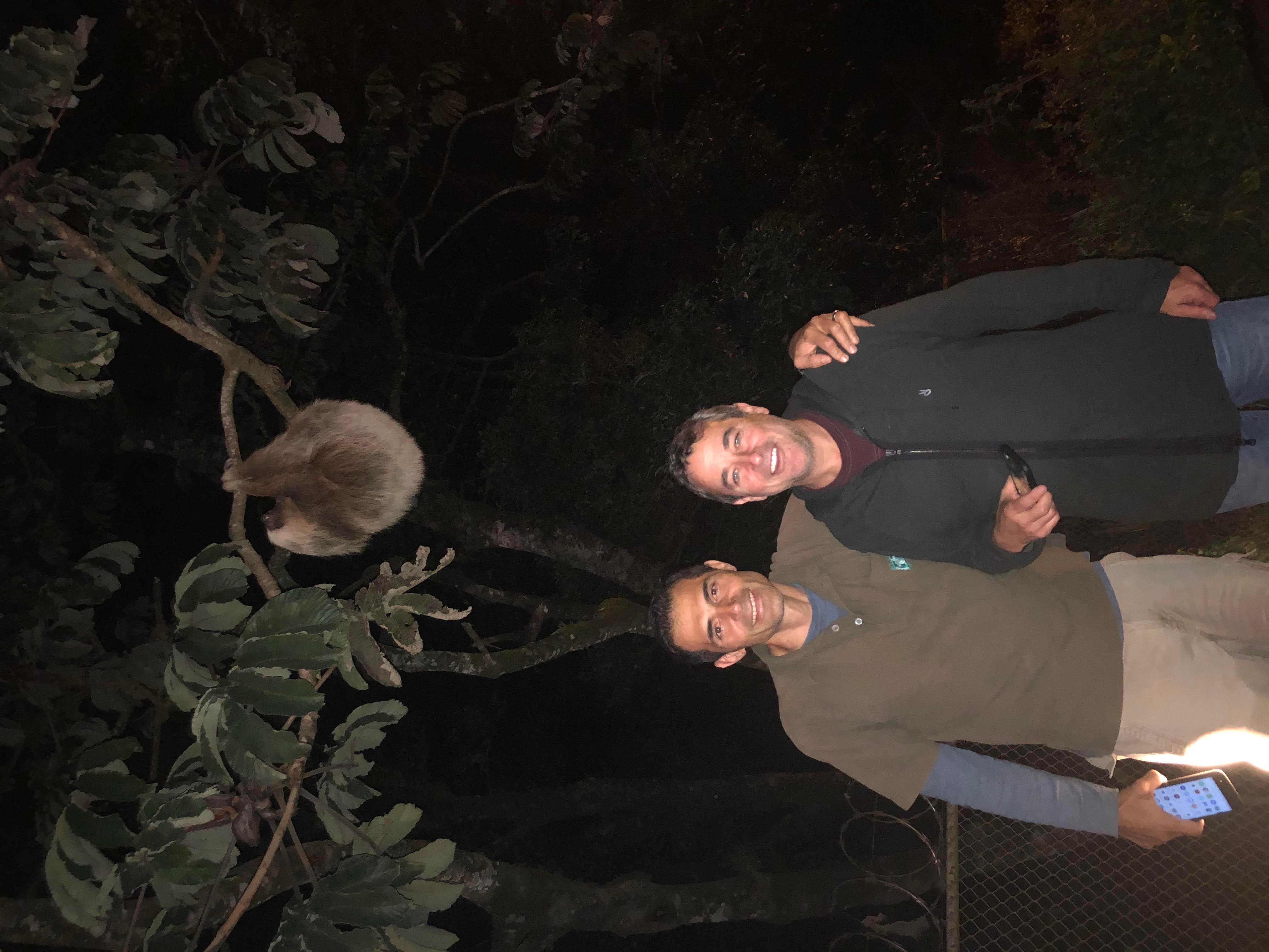 Monteverde: Private Night Tour with Wildlife Encounters – Puntarenas, Costa Rica