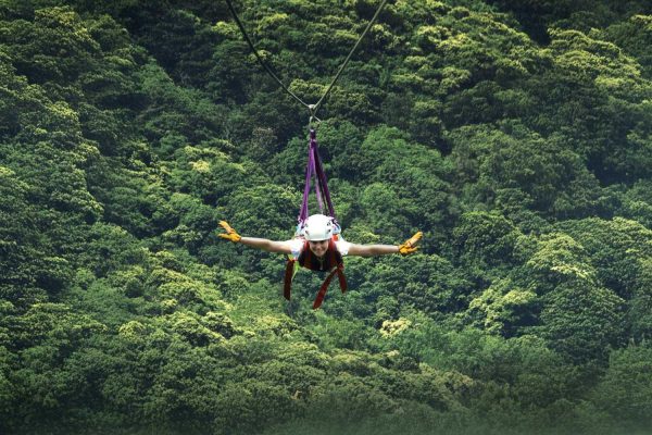 Monteverde: Selvatura Park Zipline and Tarzan Swing Tour – Monteverde, Costa Rica