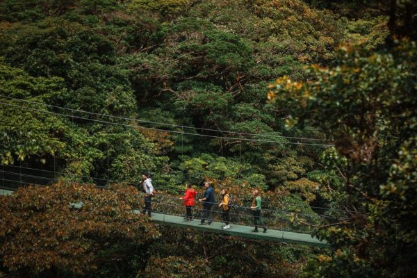 Monteverde: SkyWalk Hanging Bridges Adventure – Monteverde, Costa Rica