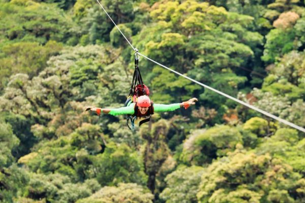 Monteverde: Zip Line, Bridges, and Butterfly Garden Tour – Monteverde, Costa Rica