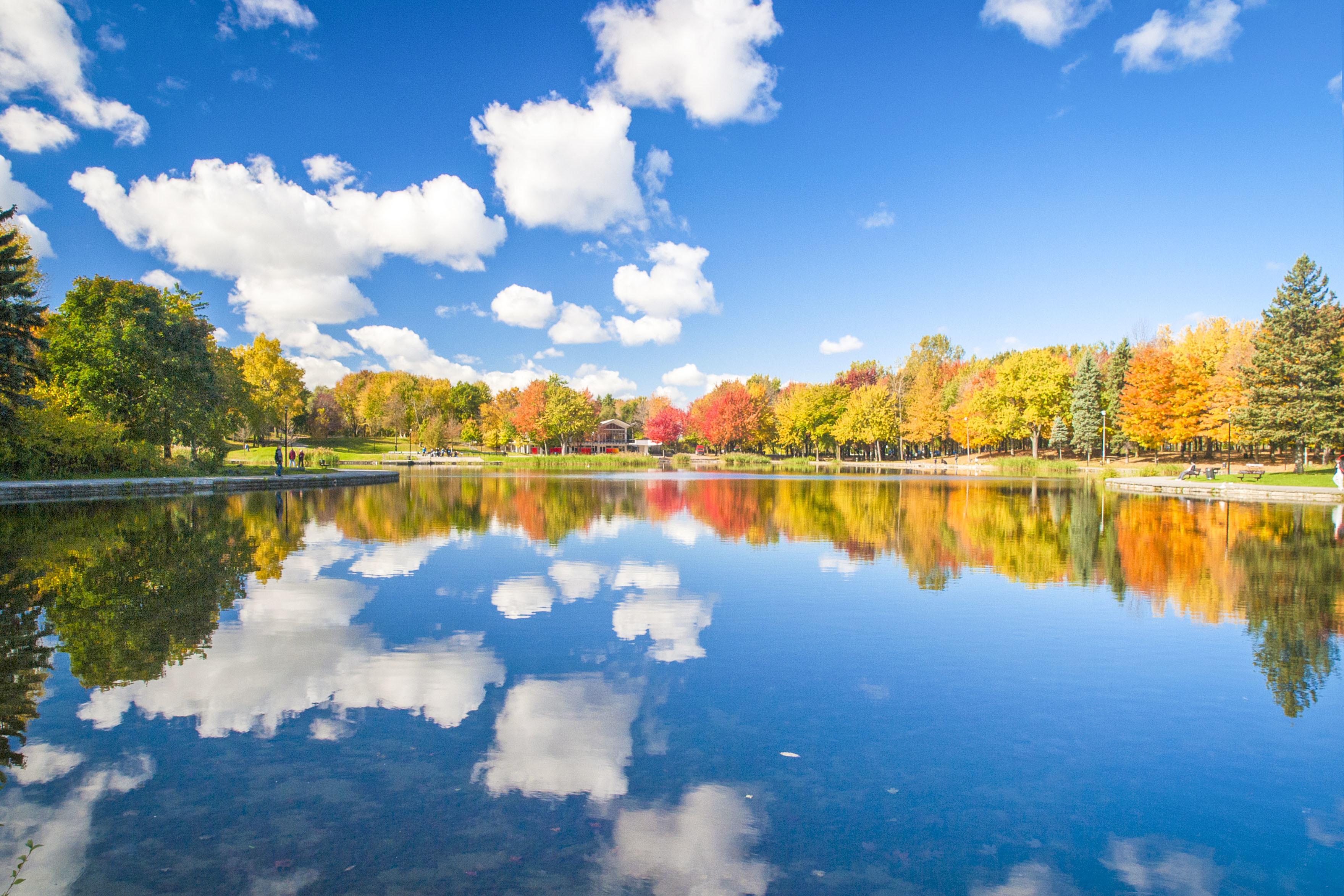 Montreal: Guided Bus Tour – Montreal, Canada