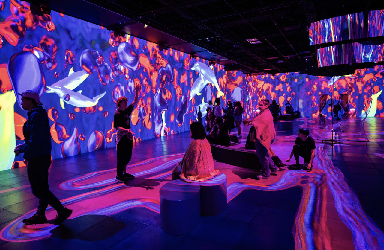 Montreal: OASIS Immersion Entry Ticket – Montreal, Canada