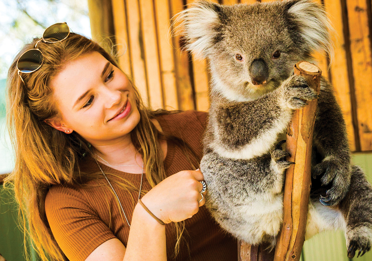 Moonlit Sanctuary Conservation Park Entry Ticket – Pearcedale, Australia