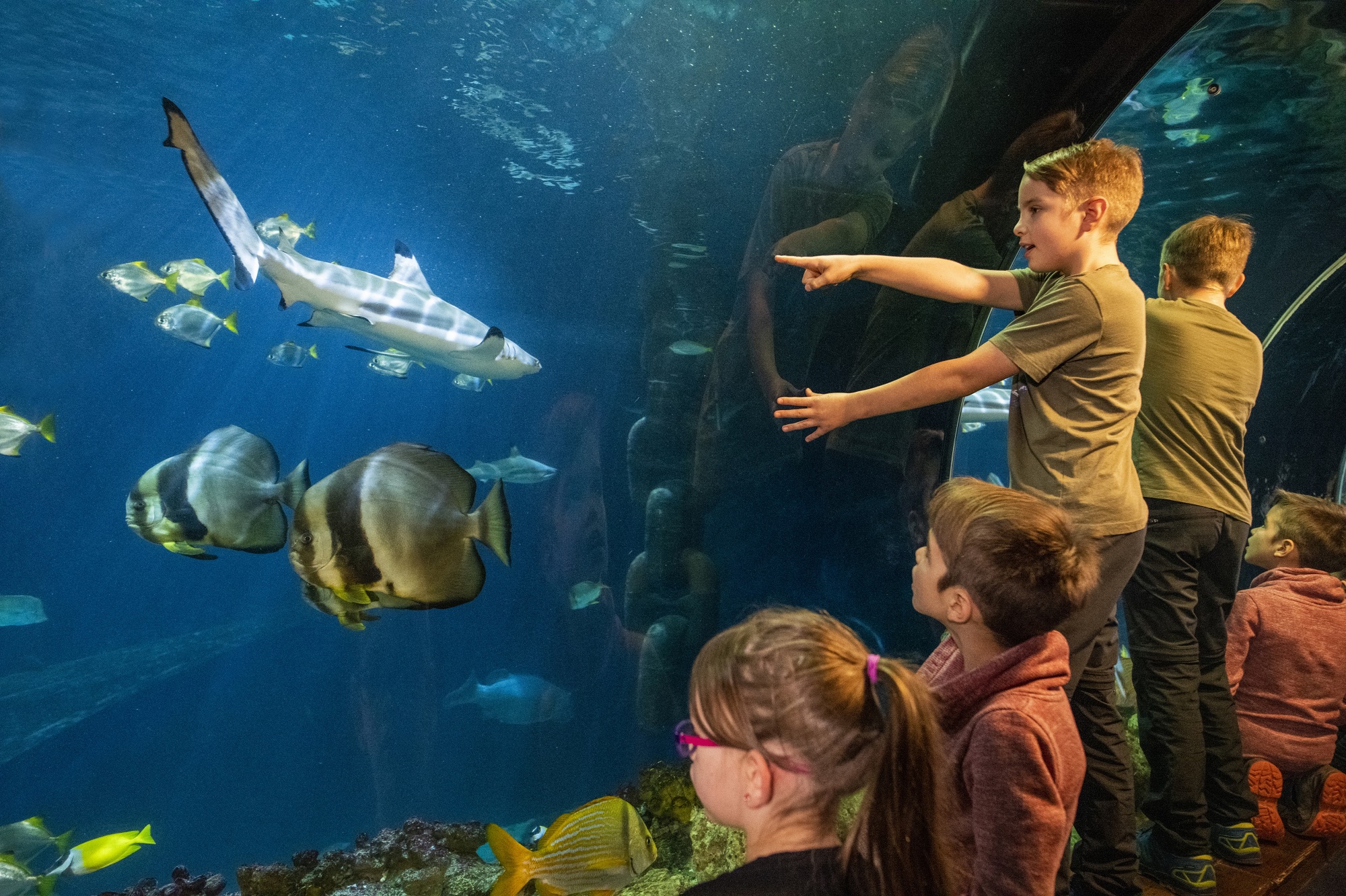 Munich: Day Ticket to Sea Life – Munich, Germany