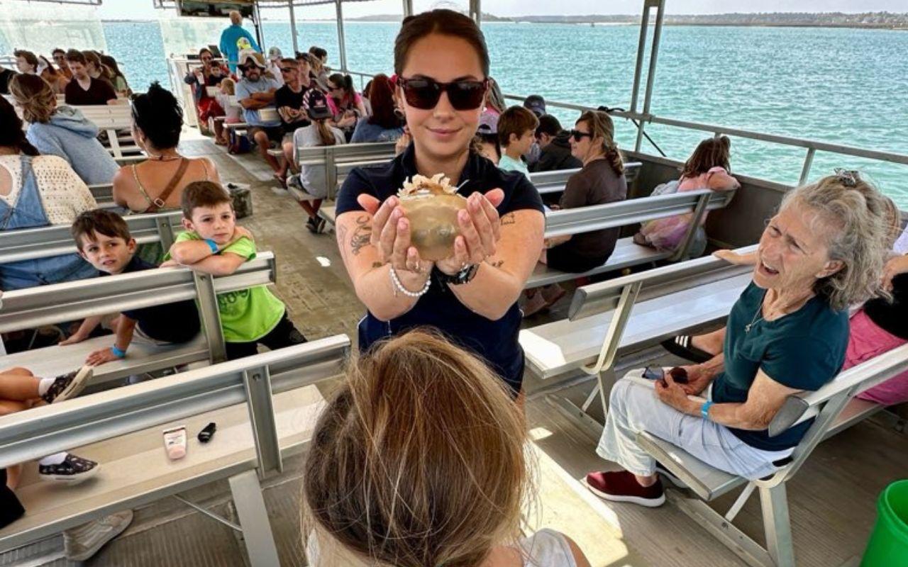 Murrells Inlet: Saltwater Marsh Eco Tour w/ Marine Biologist – Myrtle Beach, South Carolina