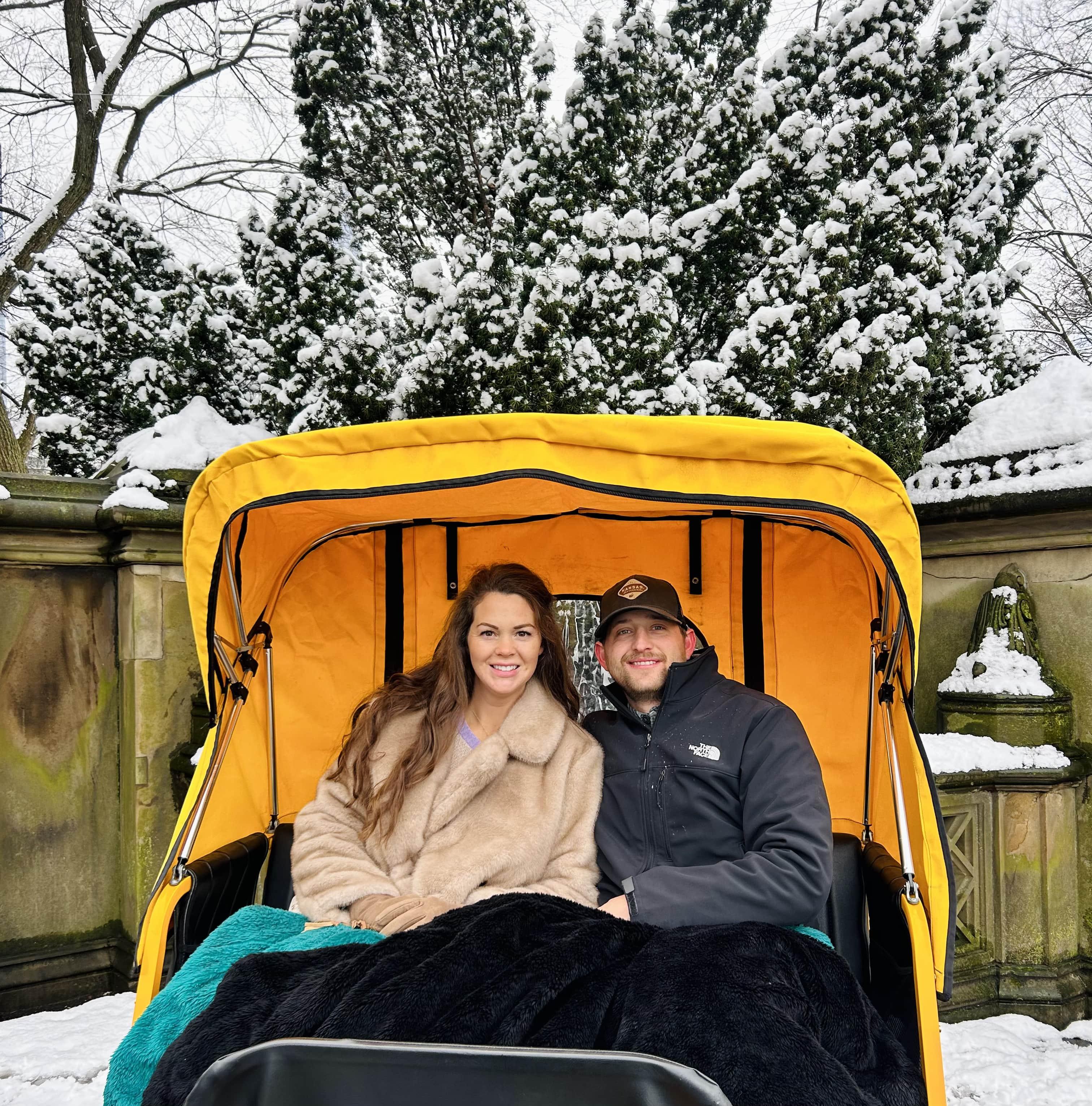 NYC: Home Alone 2 & Elf Locations Tour in Central Park Tour – New York City, New York