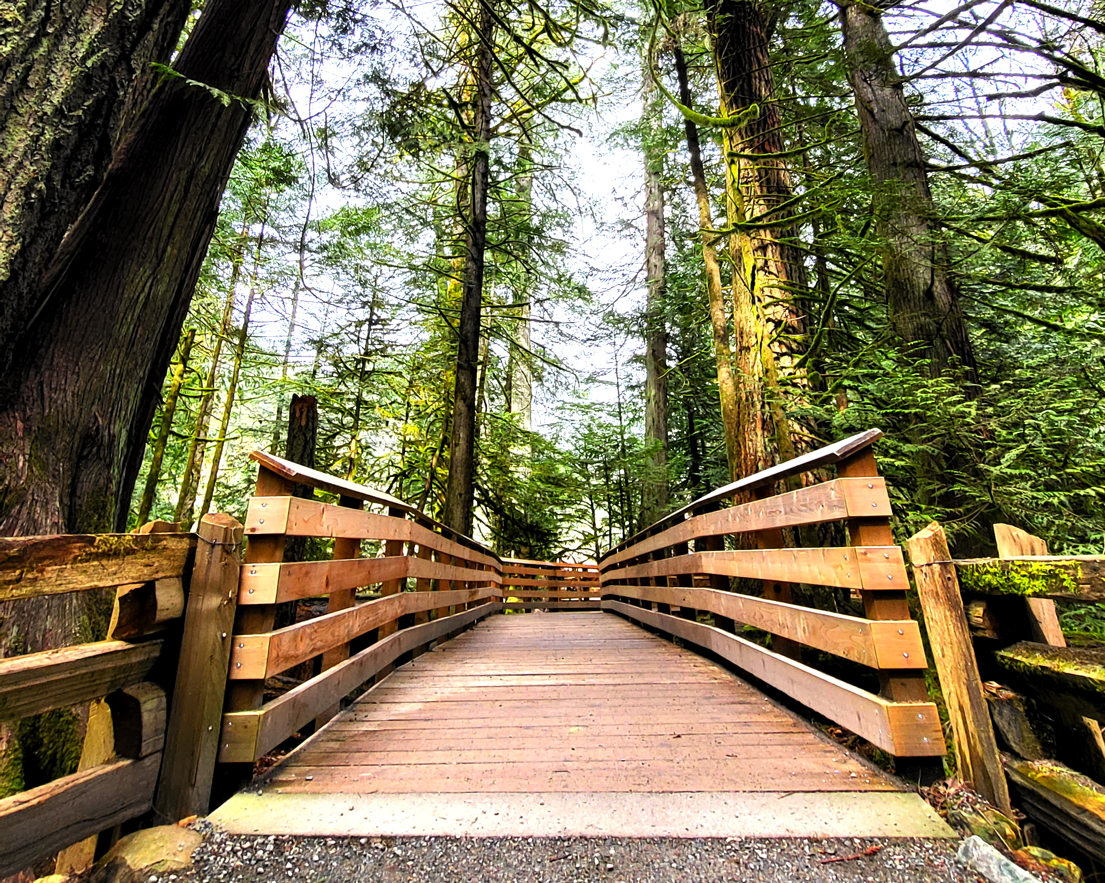 Nanaimo: Vancouver Island Waterfalls, Vistas, Hikes & Caves – Horne Lake Caves Regional Park, Canada