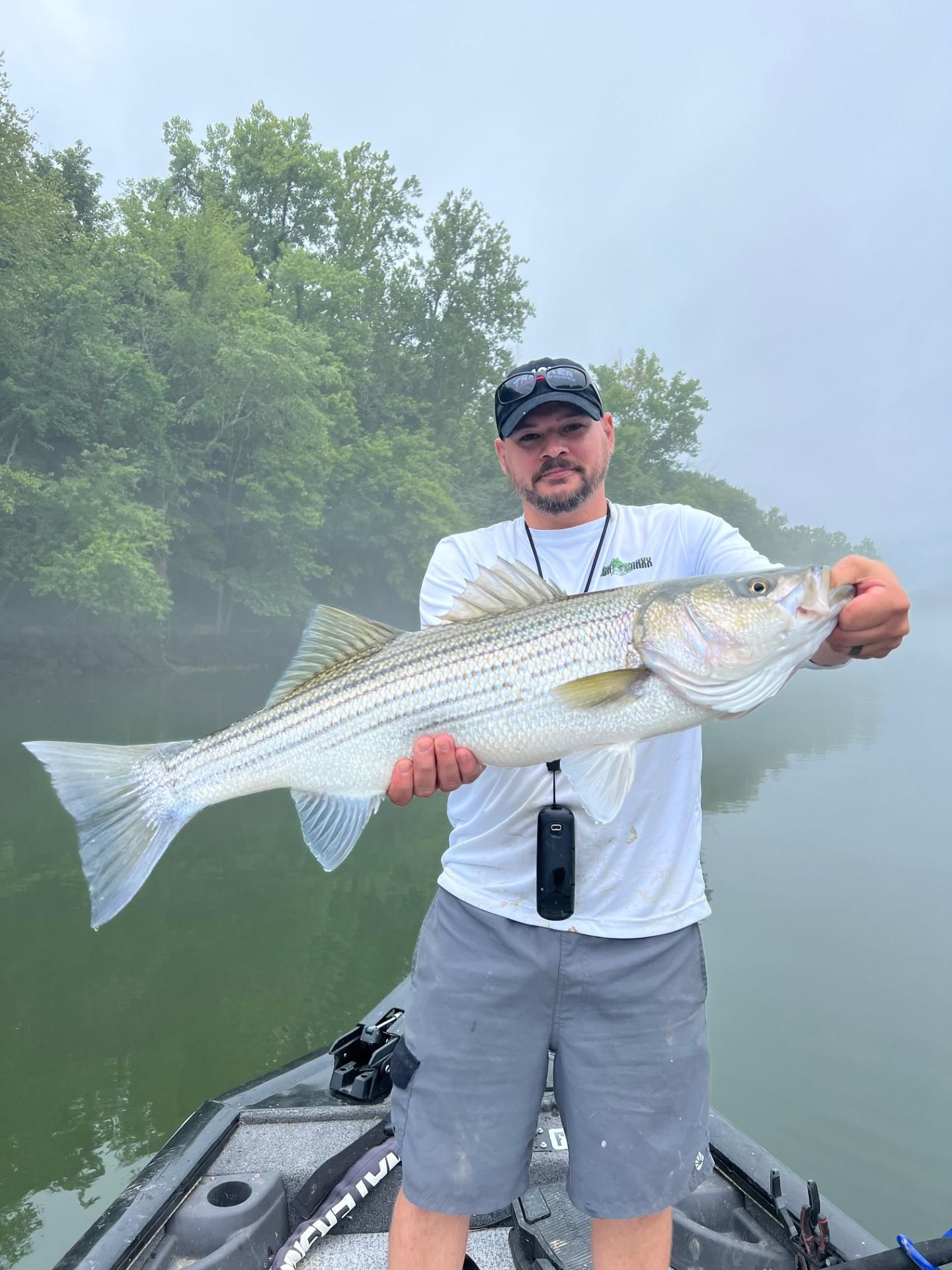 Nashville: Hybrid and Striped Bass Fishing Trip – Nashville, Tennessee