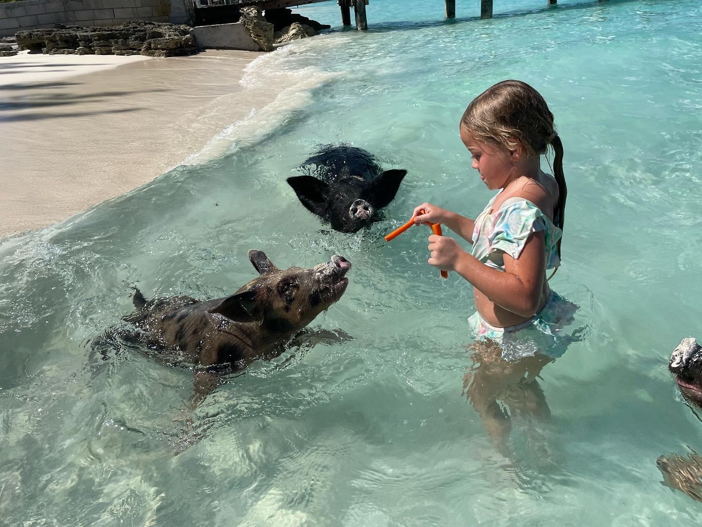 Nassau: 3 Islands Boat w/ Swimming Pigs, Snorkeling & Turtle – Nassau, Bahamas