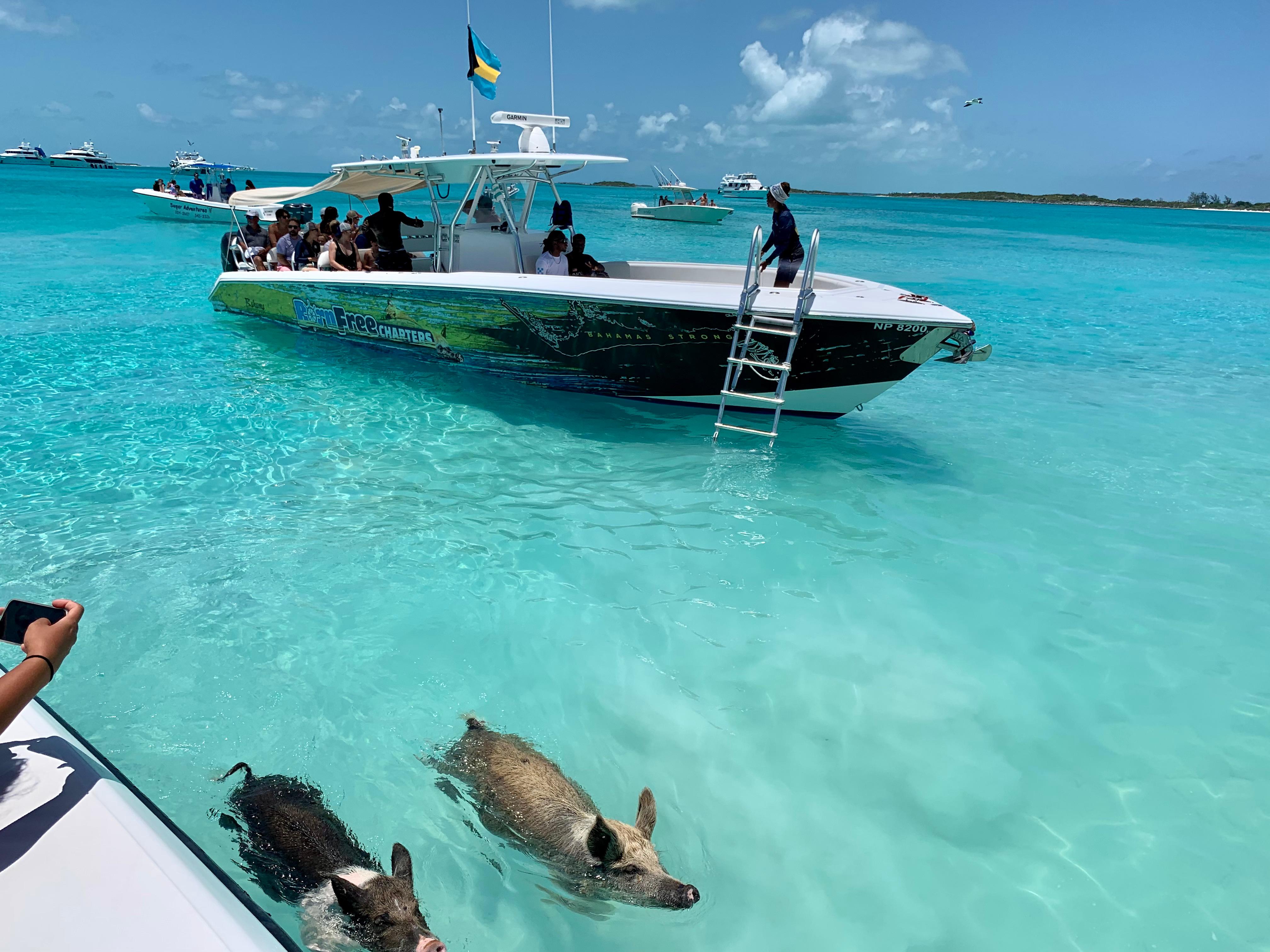 Nassau: Discover Exuma Island Hopping and Swimming Pigs Tour – Nassau, Bahamas