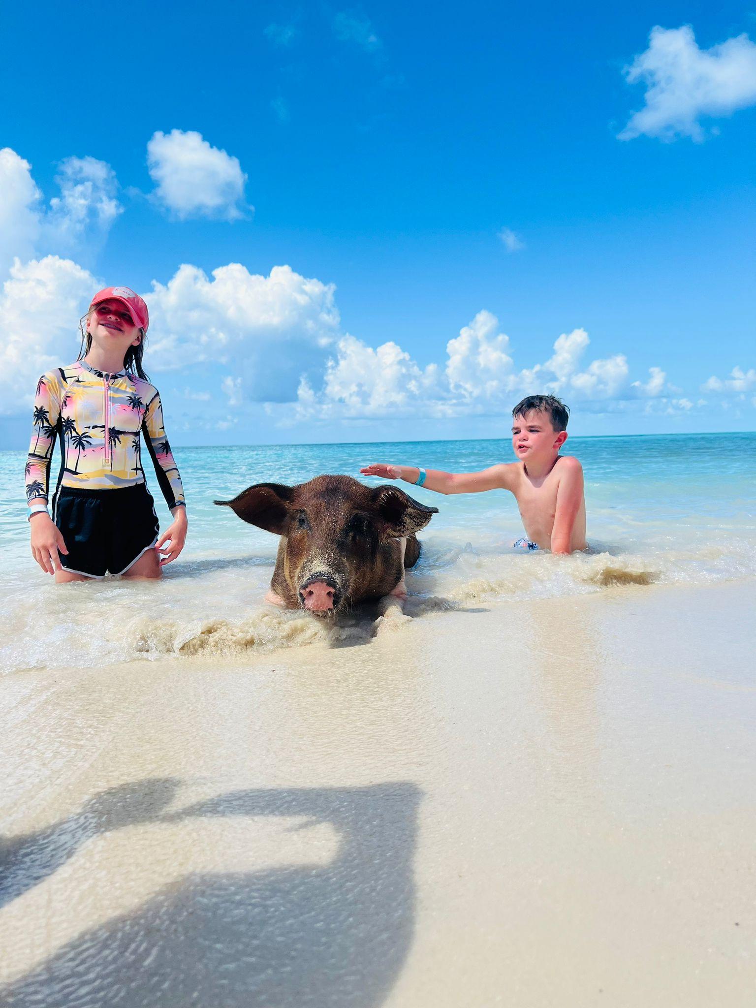 Nassau: Half-Day Swimming Pigs, Reef Snorkel & Beach Club – Nassau, Bahamas