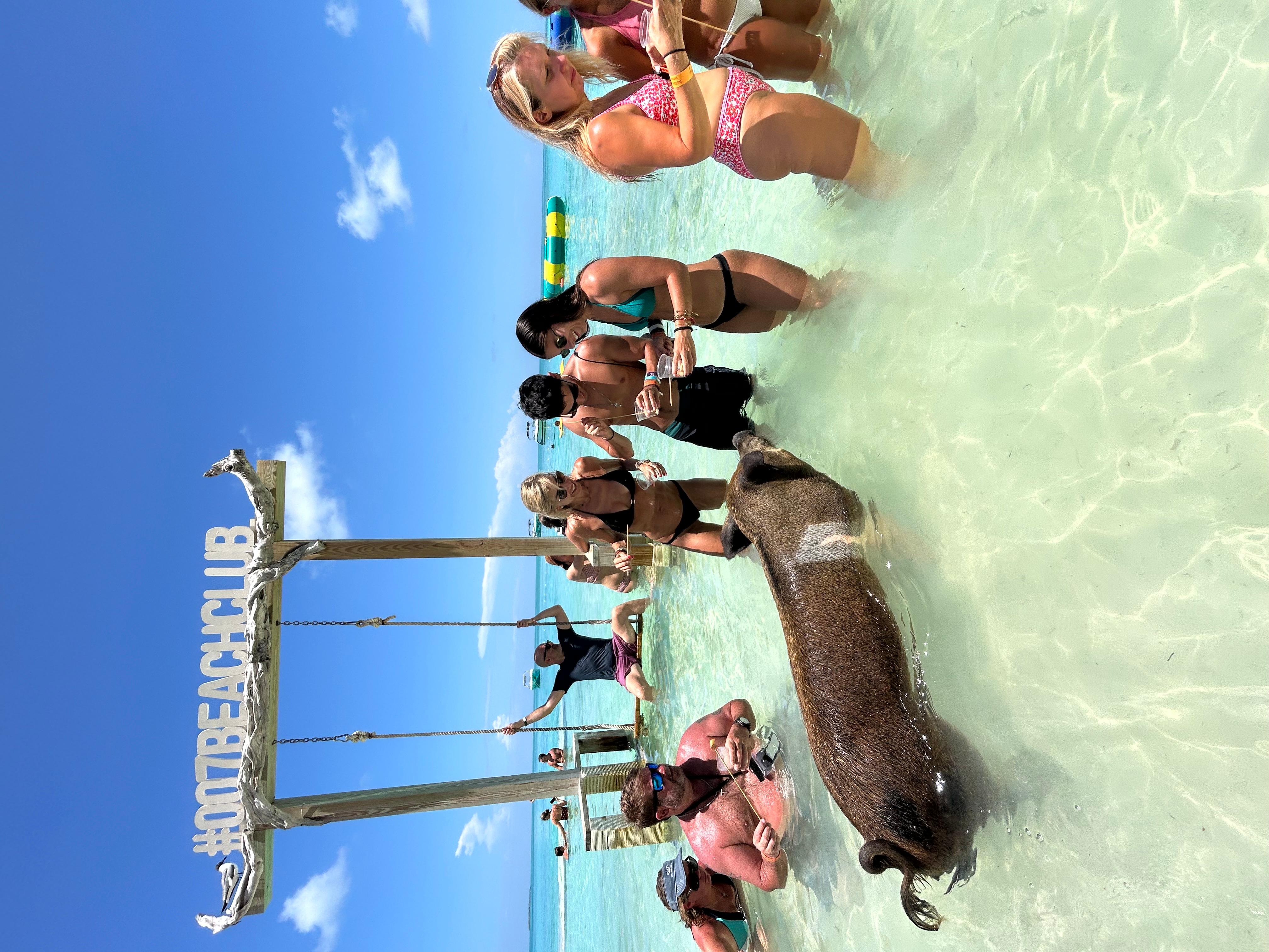 Nassau: Pigs, Snorkel, Turtles, Lunch, Private Beach Club – Nassau, Bahamas