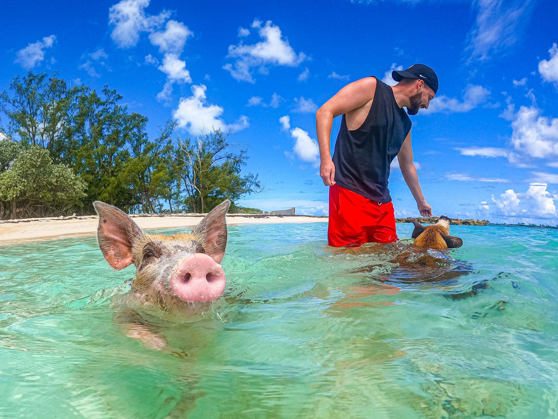 Nassau: Sun Cay and Swimming Pigs Boat Trip with Lunch – Nassau, Bahamas