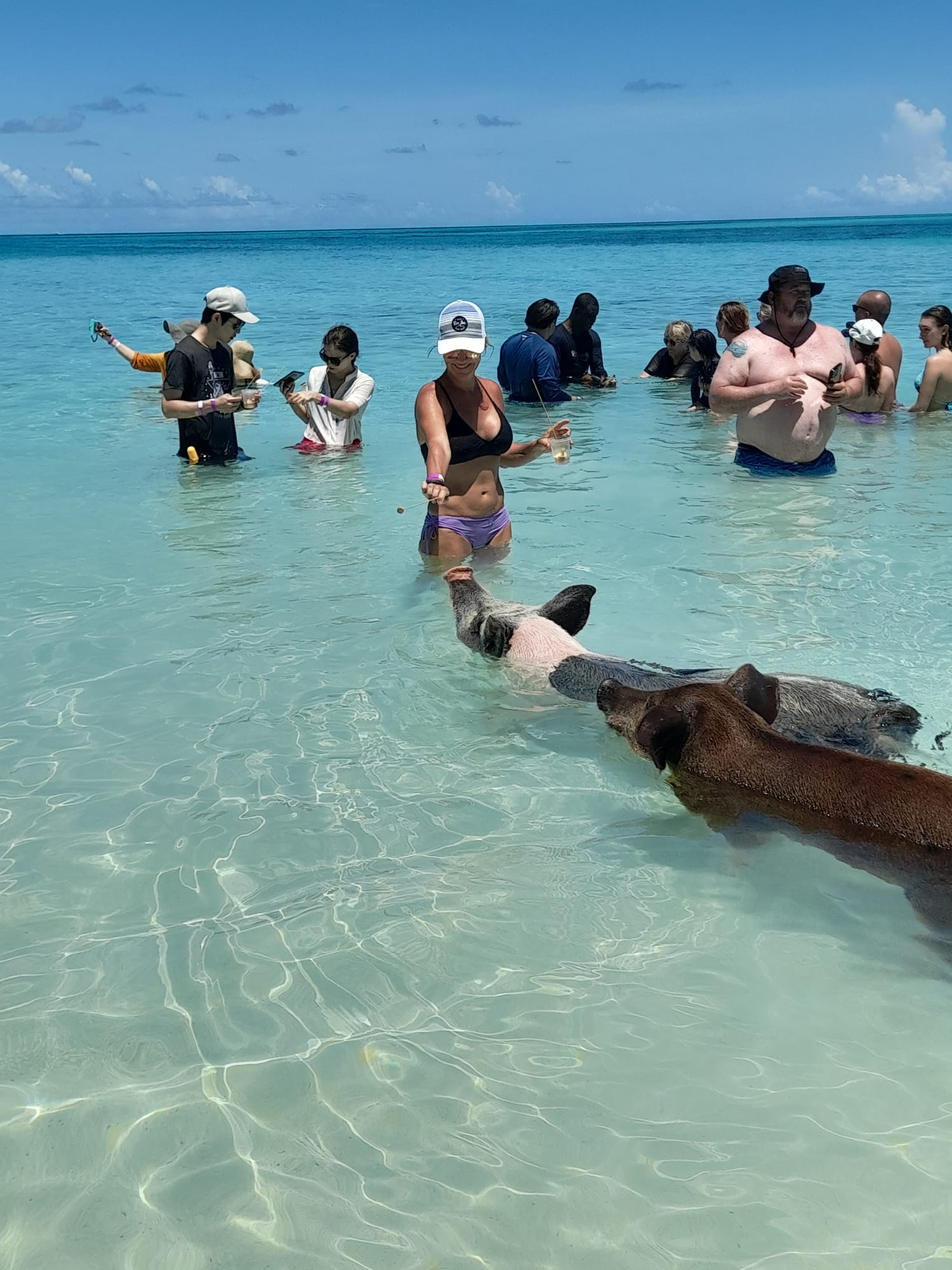 Nassau: Swimming with Pigs, Snorkeling, and Sightseeing Tour – Green Cay, Bahamas