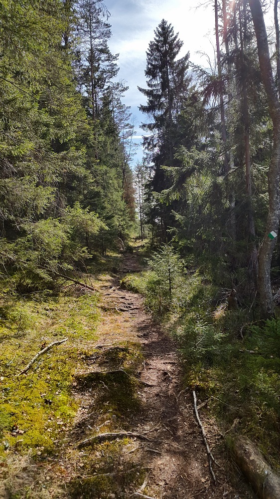 Nature Hike from Stockholm – Stockholm, Sweden
