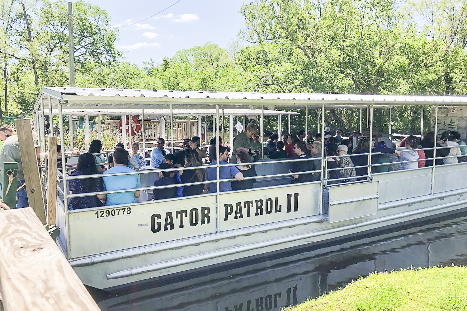 New Orleans Manchac Bayou Swamp Cruise W/ Optional Pick-Up – Manchac Bayou, Louisiana