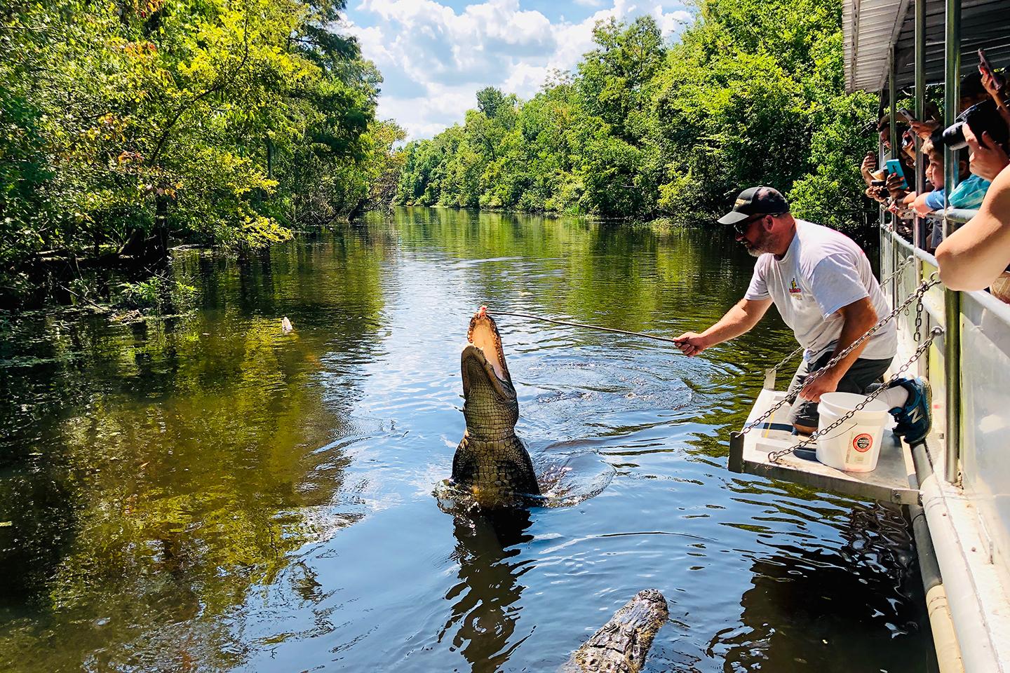 New Orleans: Swamp Boat Ride & Oak Alley Plantation Tour – Vacherie, Louisiana