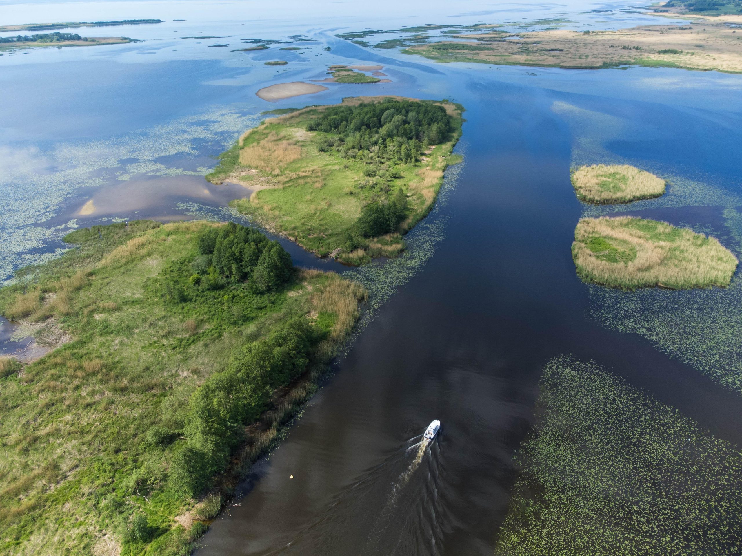 Nida: Bird-Watching Adventure in Nemunas Delta – Lithuania