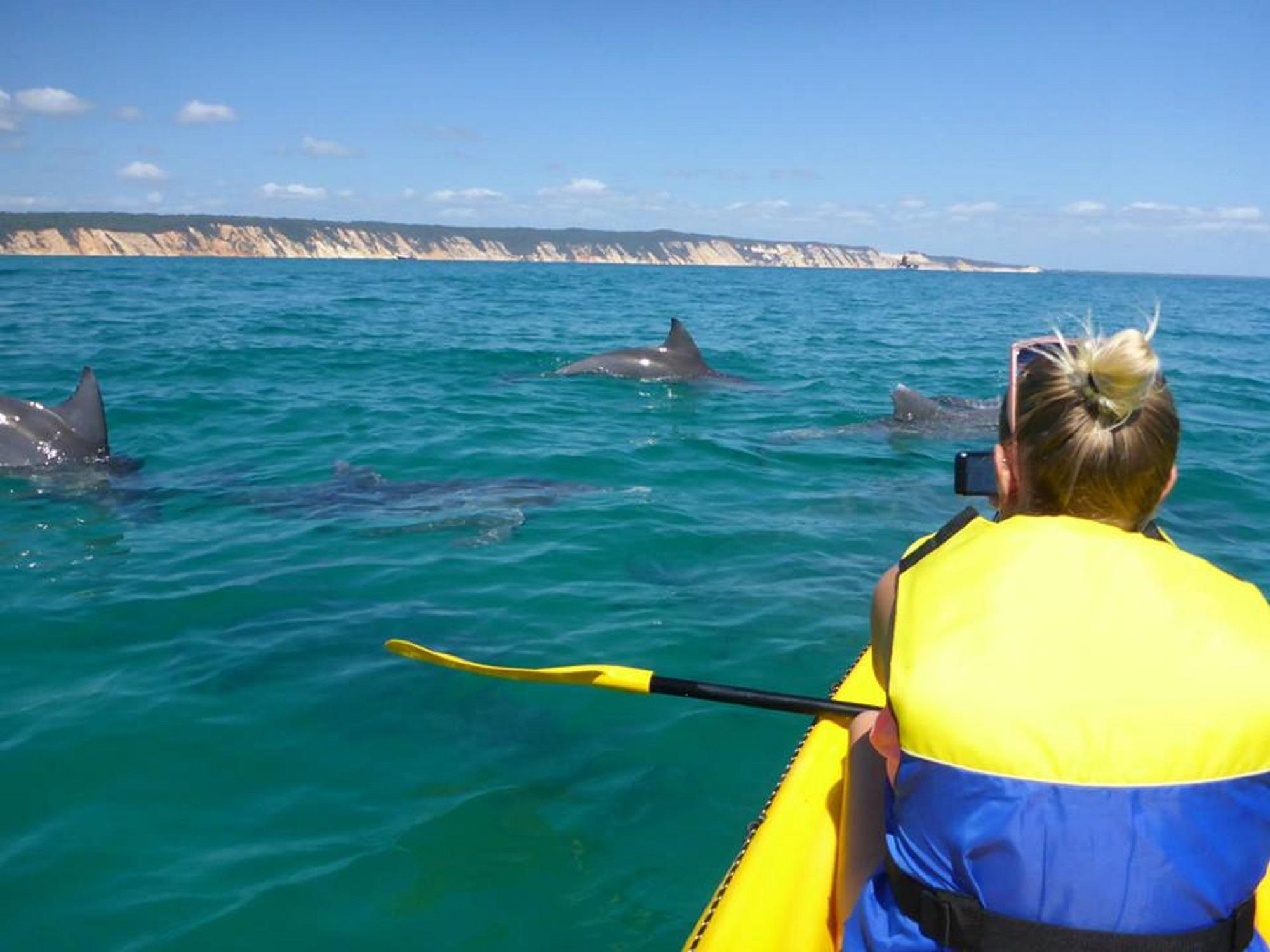 Noosa: Epic Ocean Kayak with Dolphins & 4WD Beach Adventure – Gympie, Australia