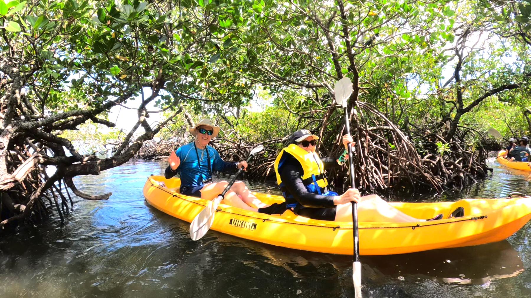 Noosa Heads: Hidden Waterways Wildlife Kayak (Self-Guided) – Noosa Heads, Australia