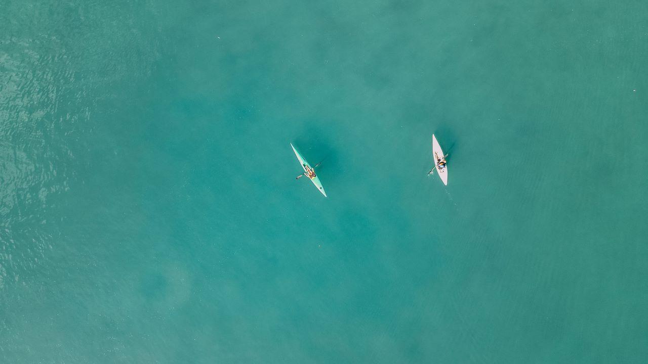 Noosa River: Mangroves and Mansions Guided Kayak Tour – Noosa Heads, Australia