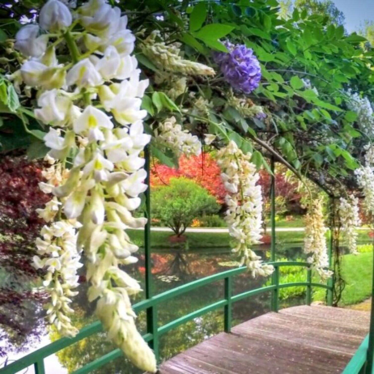 North Atlanta: Gibbs Gardens Self-Guided Slingshot Tour – Gibbs Gardens, Georgia