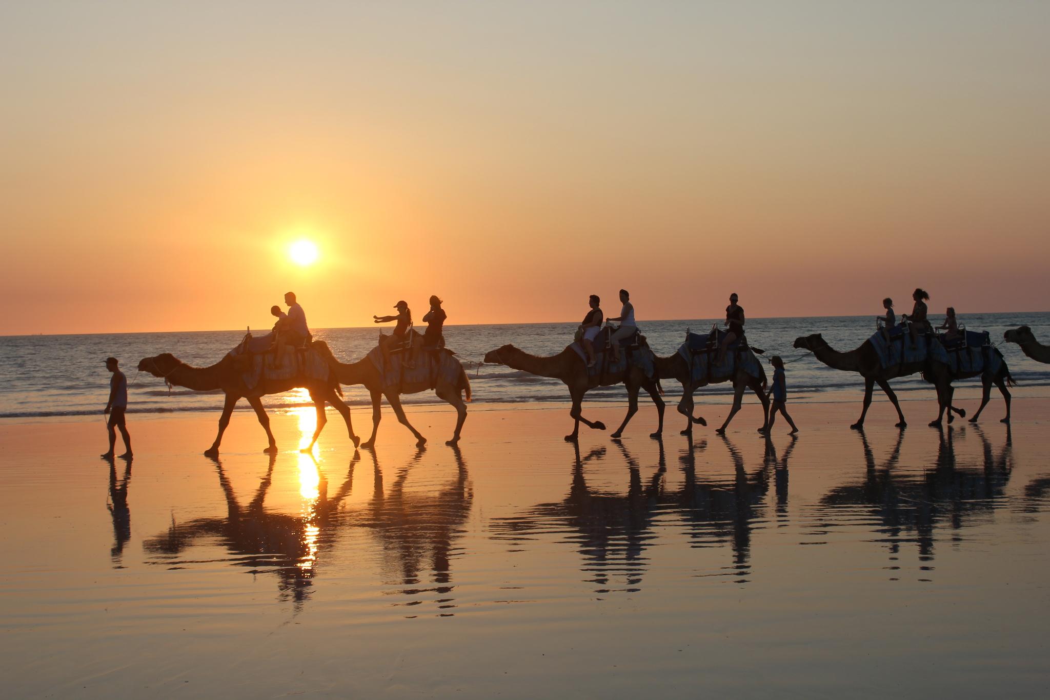 North of Rocks on Cable Beach: 1-Hour Sunset Camel Ride – Broome, Australia