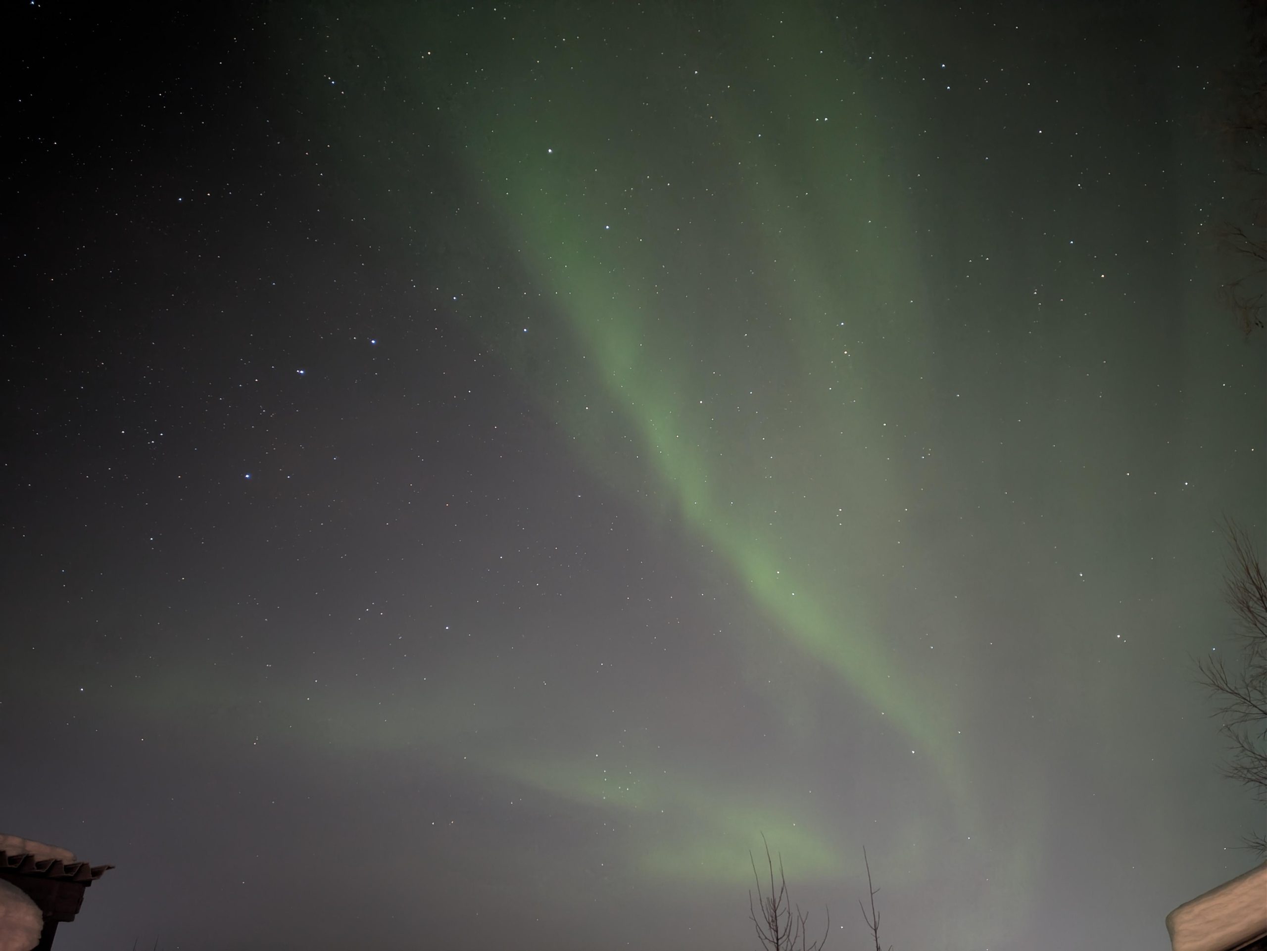 Northern Light tour in Piteå – Piteå, Sweden
