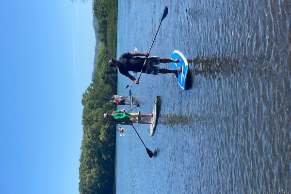 Nosara: Rio Montana Mangrove SUP or Kayak Tour – Nosara, Costa Rica