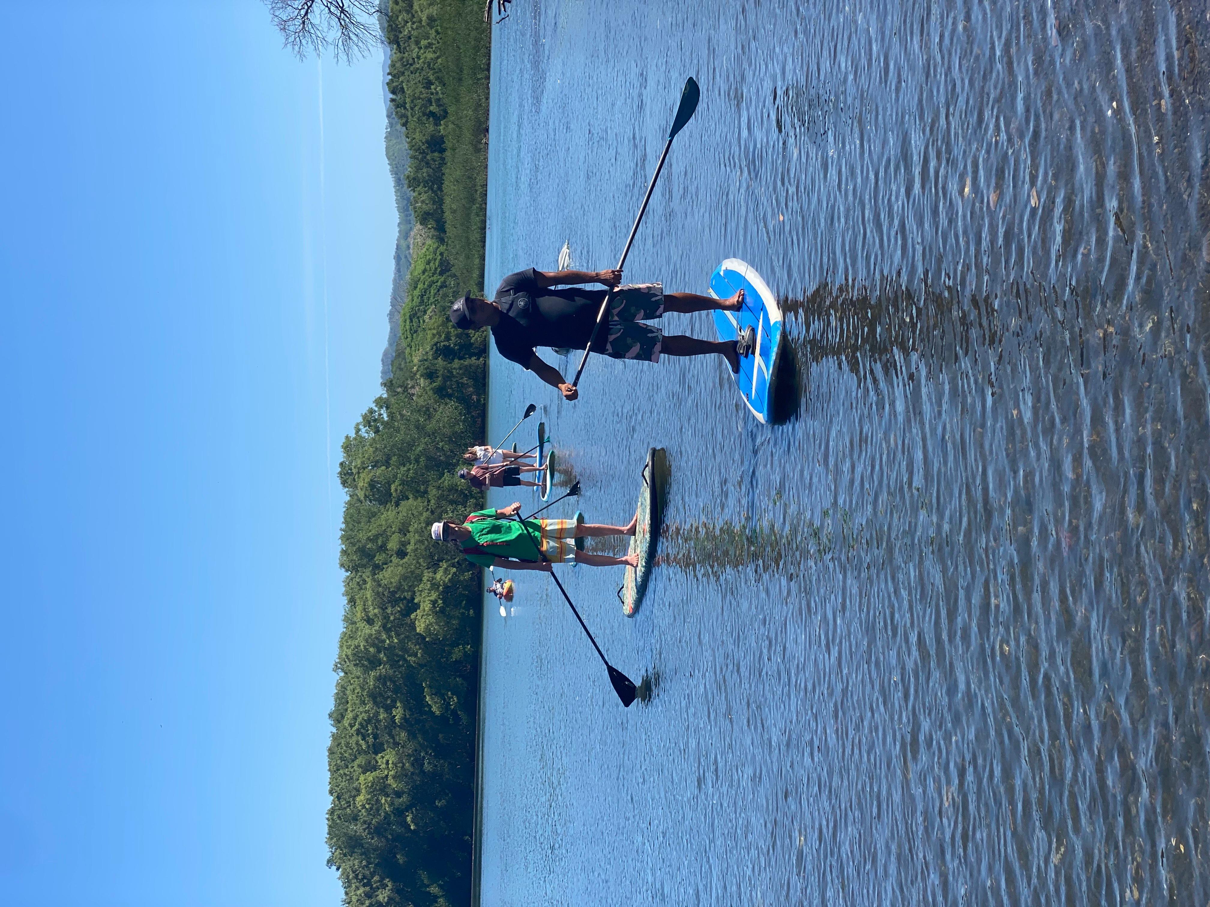 Nosara: Rio Montana Mangrove SUP or Kayak Tour – Nosara, Costa Rica