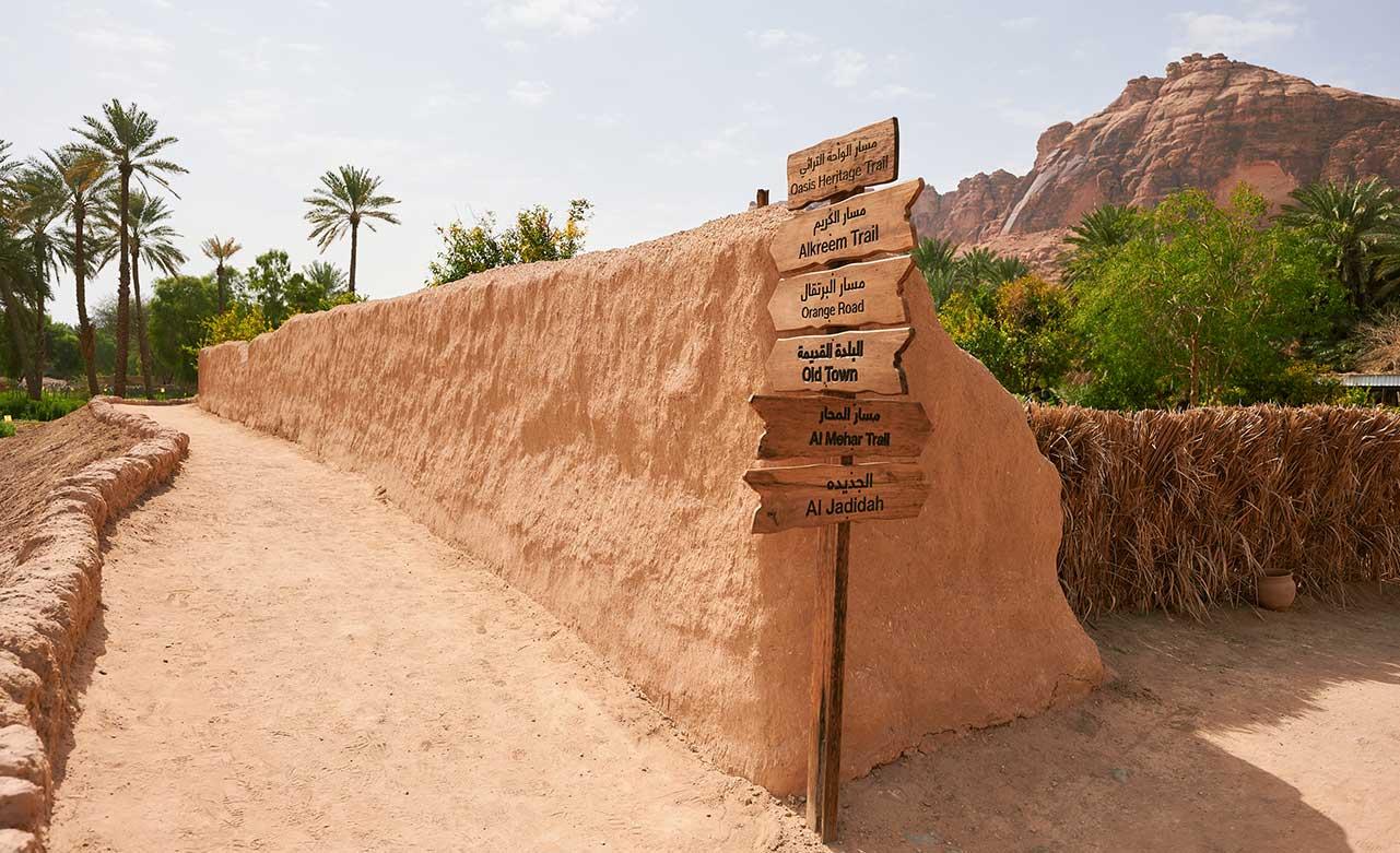 Oasis Adventure in Alula – Saudi Arabia