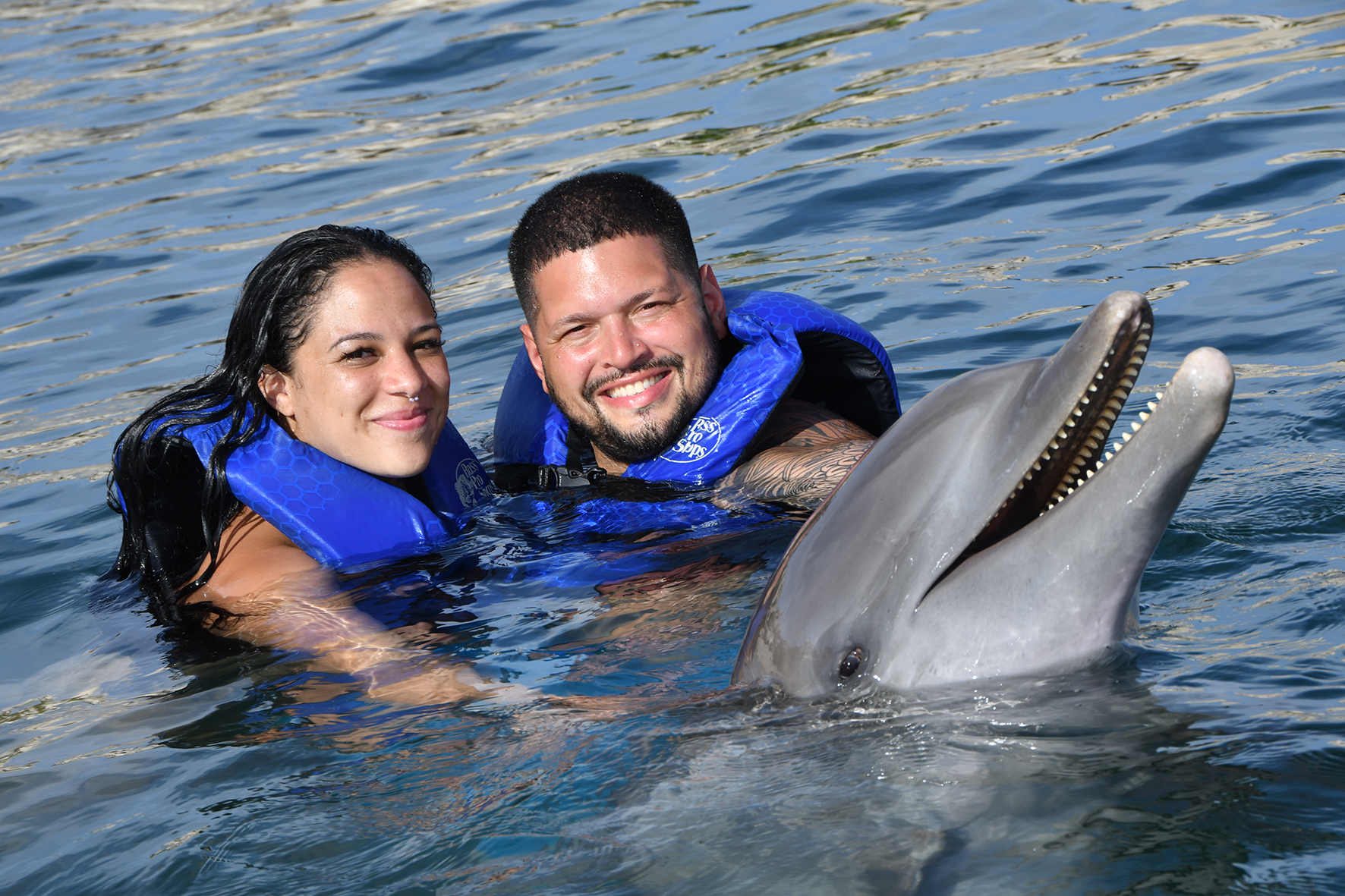 Ocean World Dolphin Swim & Sea Lion Combo from Puerto Plata – Puerto Plata, Dominican Republic