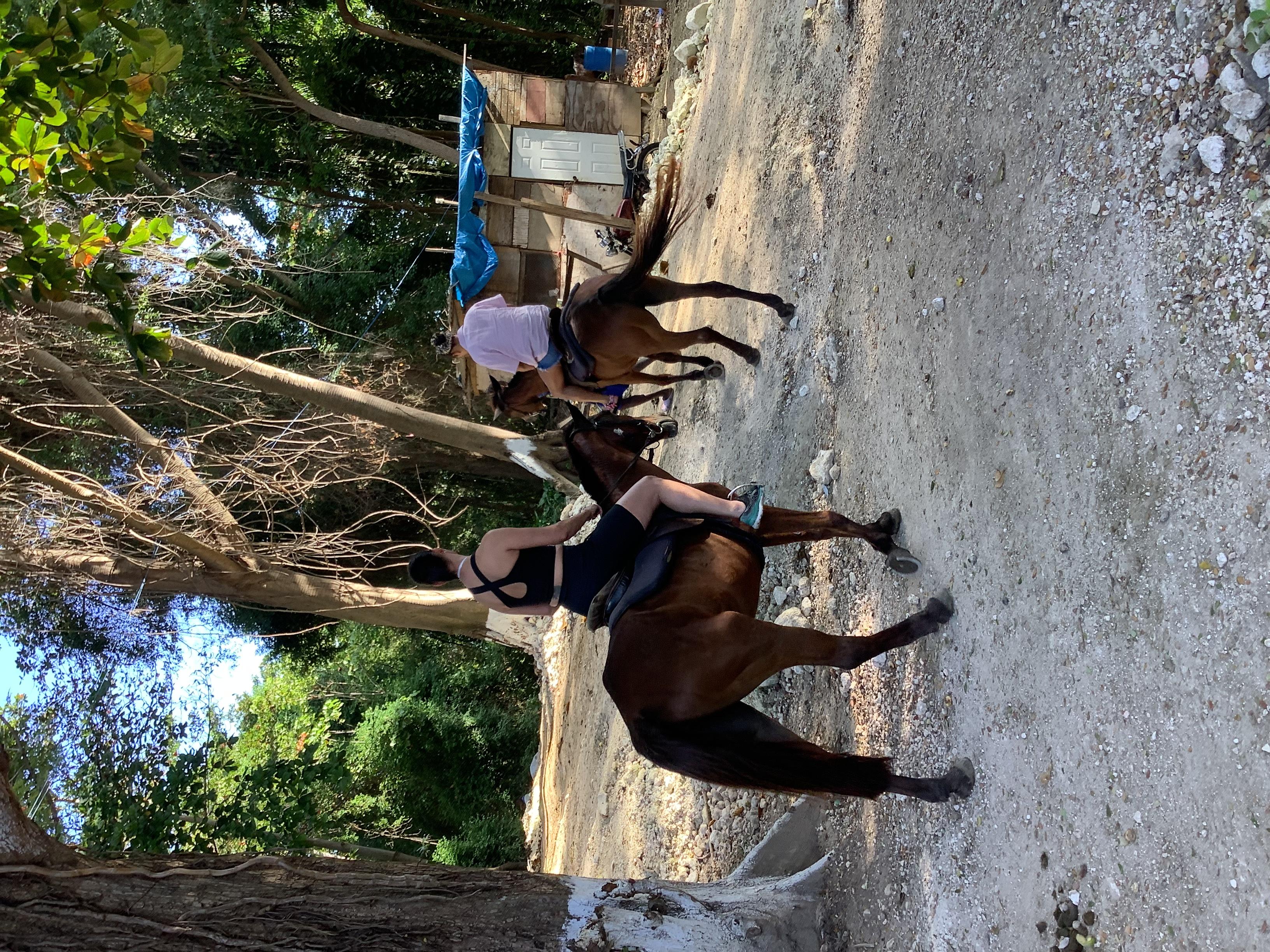 Ocho Rios: Horseback Riding and Dunn’s River Falls Tour – Dunns River Falls & Park, Jamaica
