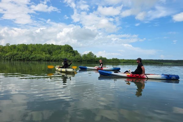 Ojochal: Kayak Tour – Humedal Nacional Terraba Sierpe, Costa Rica