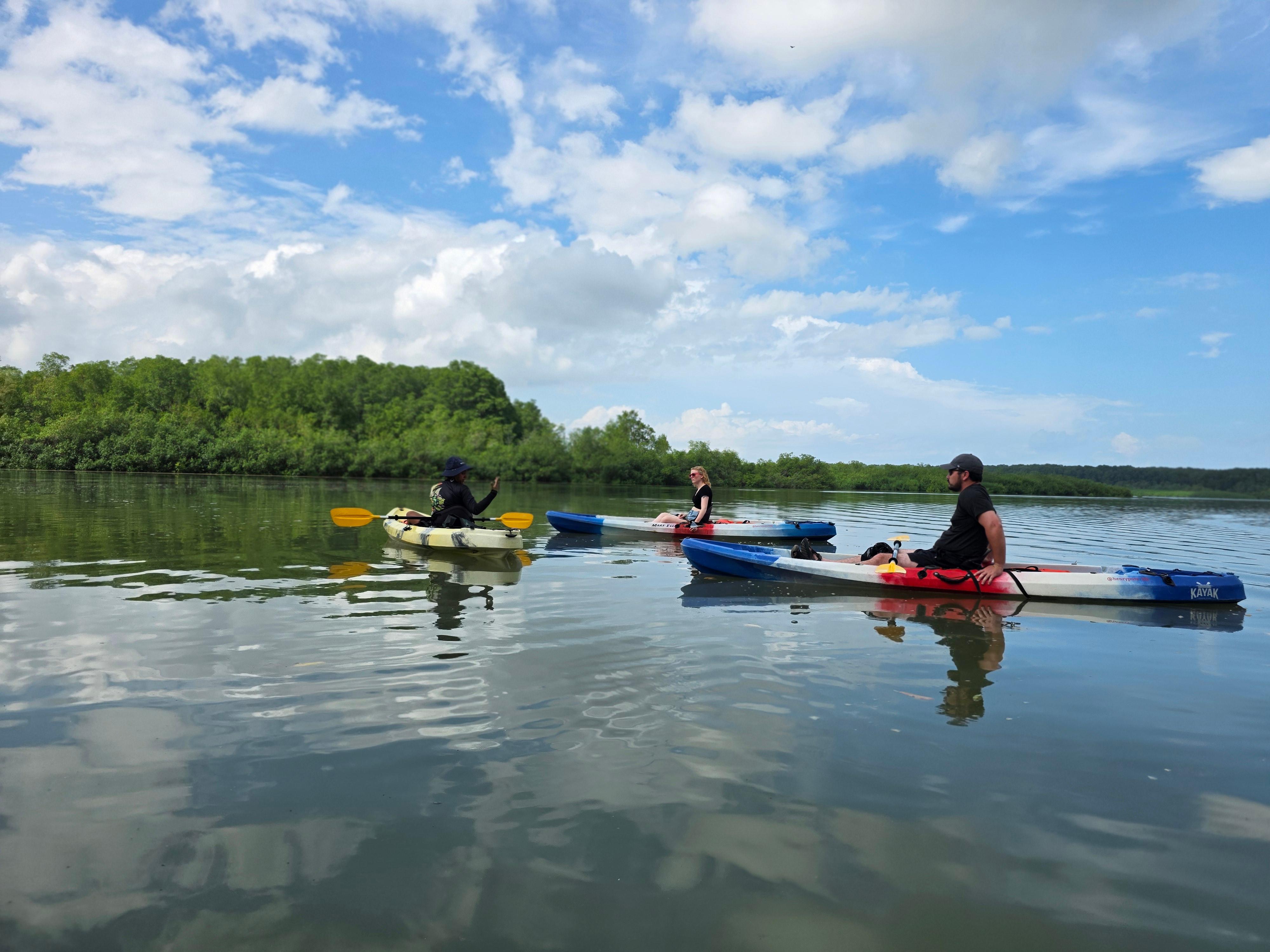 Ojochal: Kayak Tour – Humedal Nacional Terraba Sierpe, Costa Rica