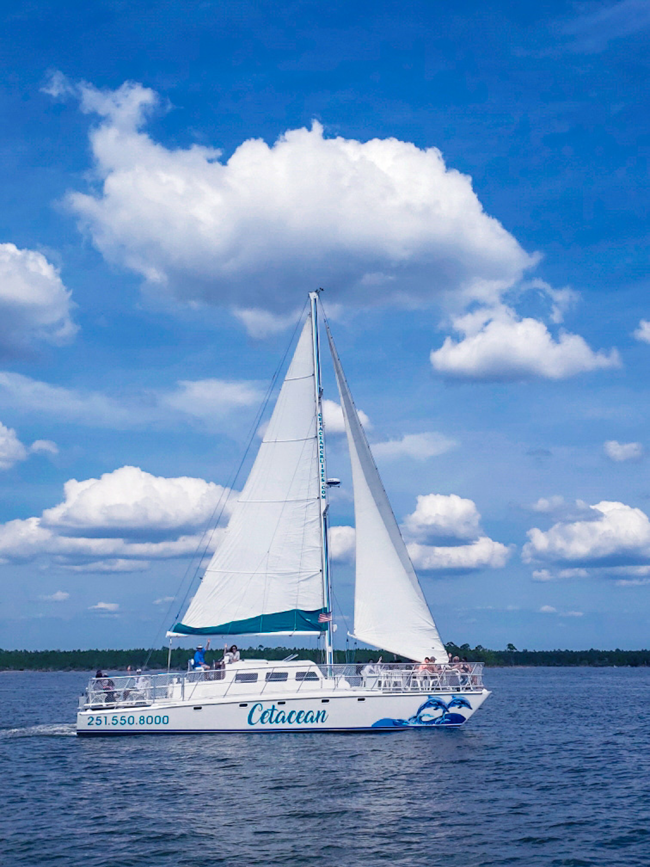 Orange Beach: Dolphin & Sailing Cruise Aboard 52′ Catamaran – Perdido Key State Park, Alabama